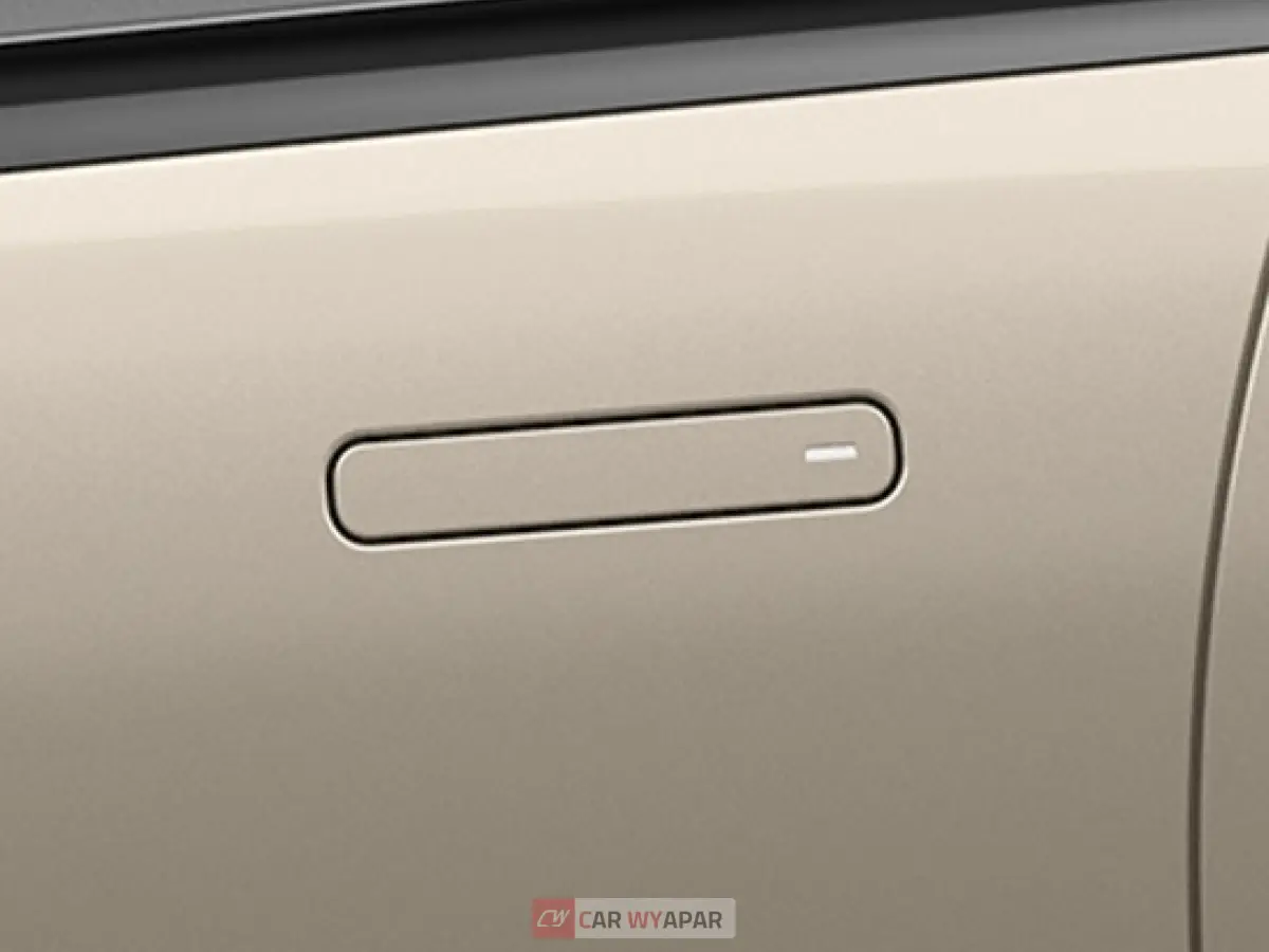 Flush Door Handle